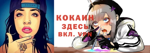 прущие крисы Новозыбков