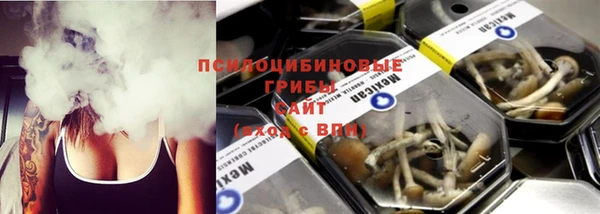 сатива Новокубанск