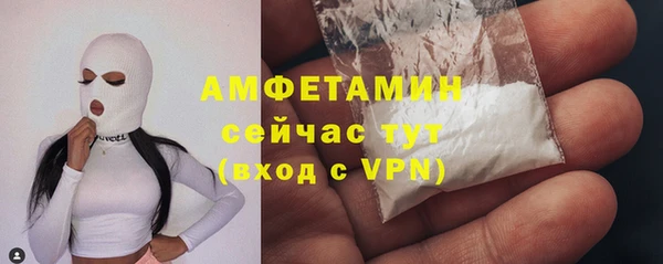 СК Новодвинск