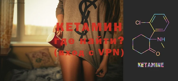 СК Новодвинск