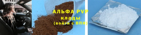 сатива Новокубанск