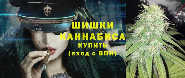 СК Новодвинск
