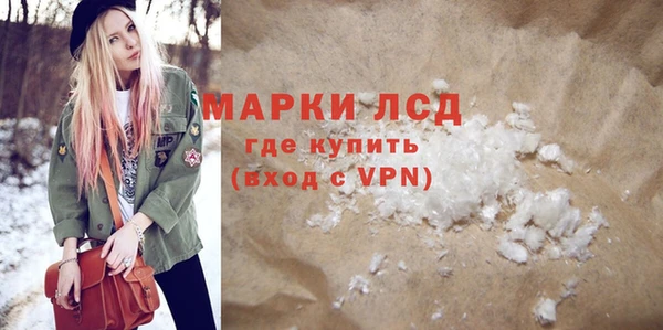 сатива Новокубанск