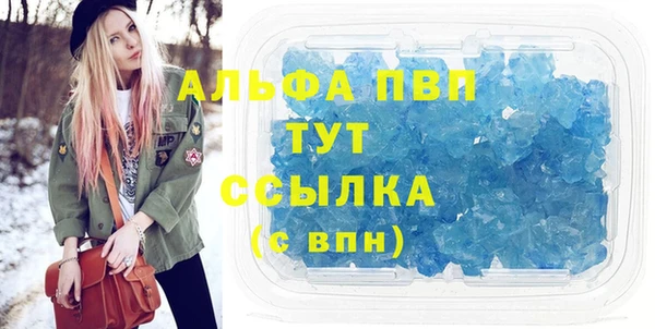 сатива Новокубанск