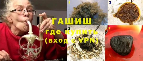 сатива Новокубанск