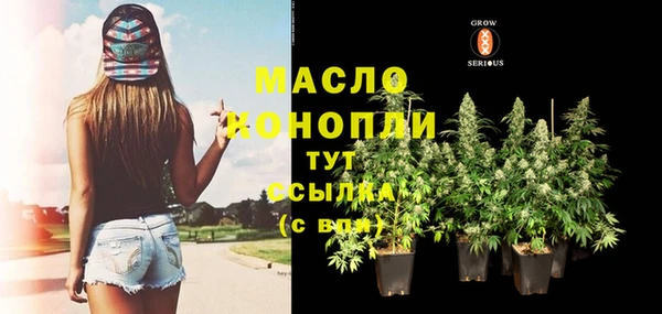 прущие крисы Новозыбков