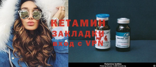 сатива Новокубанск
