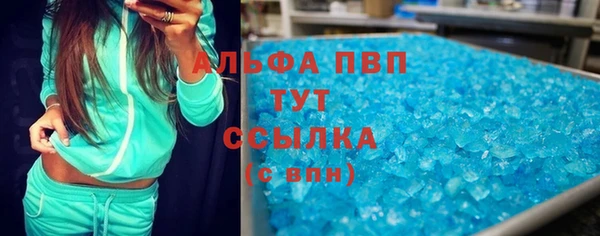 прущие крисы Новозыбков
