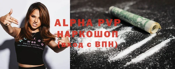 СК Новодвинск