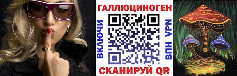 купить наркоту  Красный Сулин  Псилоцибиновые грибы Psilocybe 