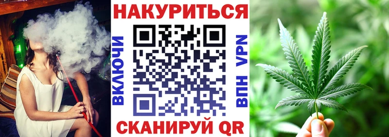 купить наркотики цена  Красный Сулин  Шишки марихуана сатива 